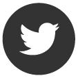 Twitter Icon